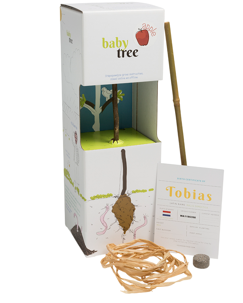 BabyTreeNLappel2-Photoroom
